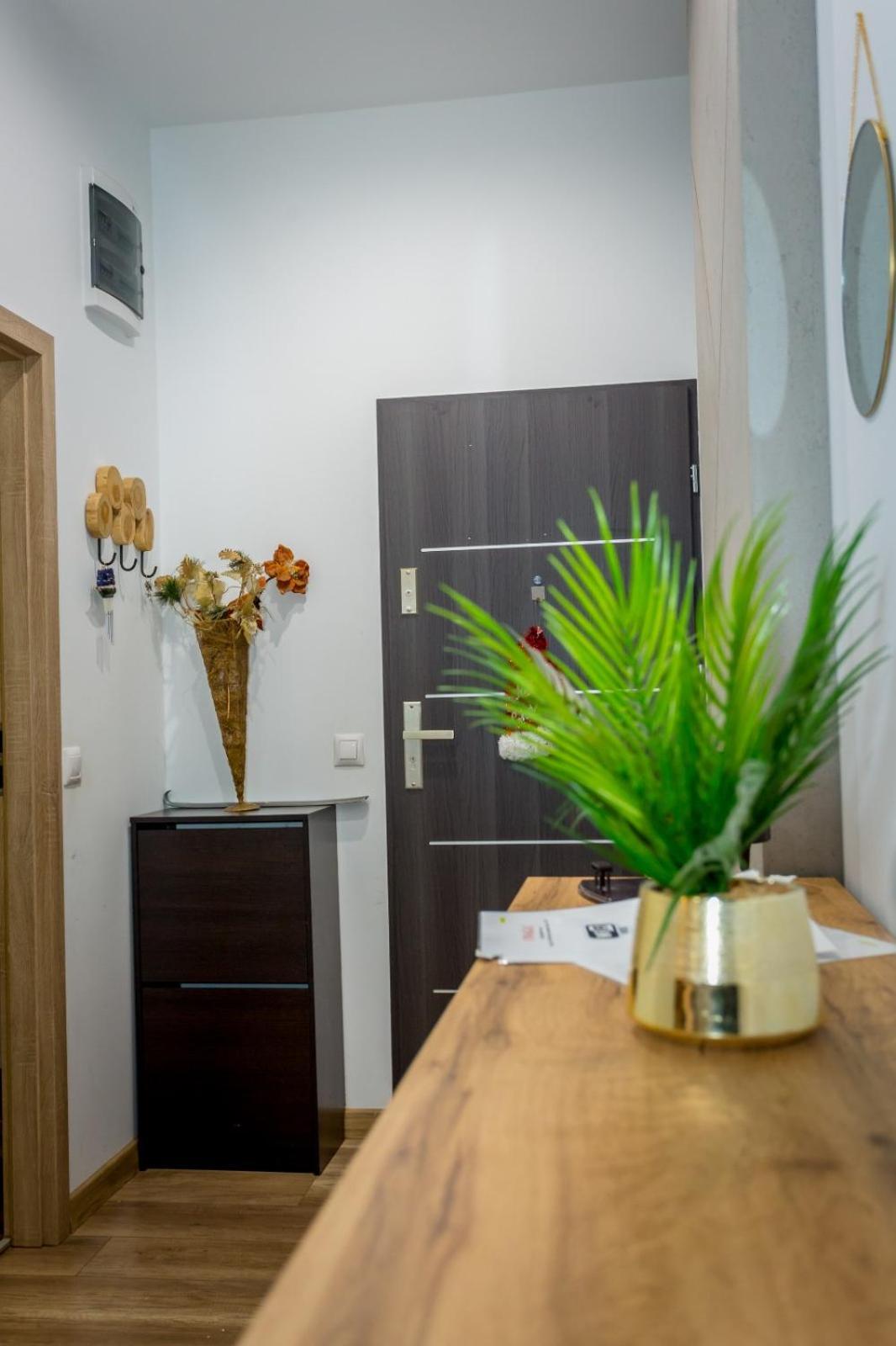Apartamenty Centrum Wałbrzych Kamer foto